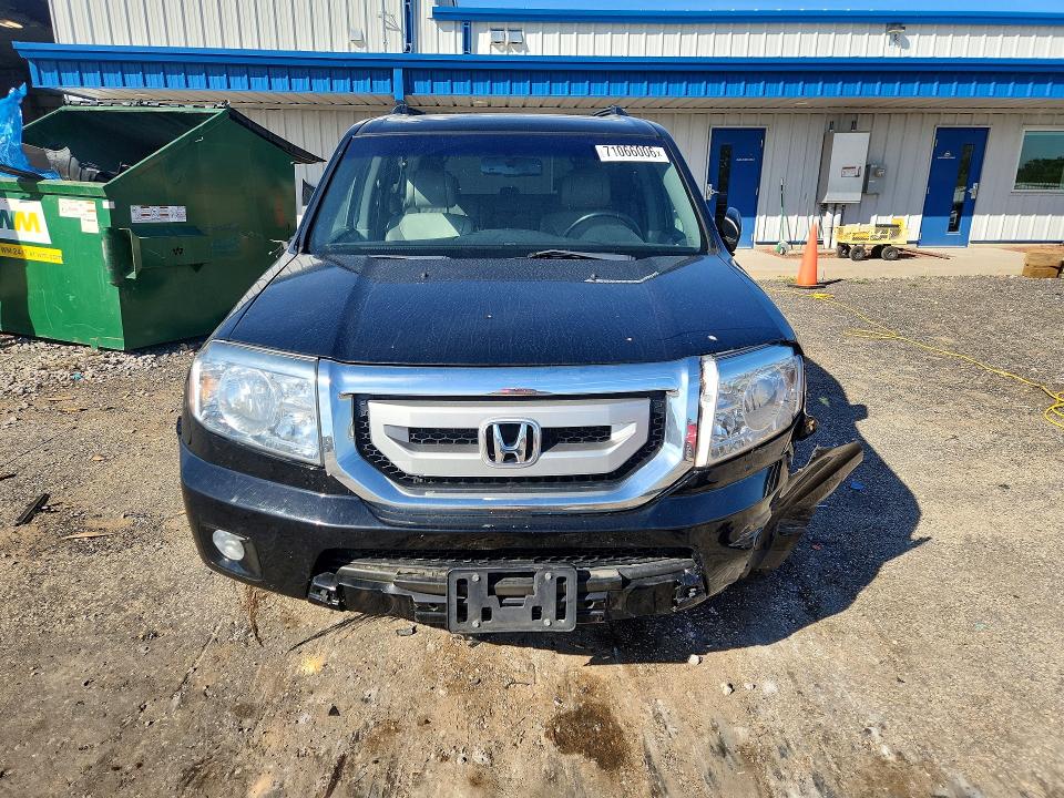 Продаж на аукціоні авто 2010 Honda Pilot, vin: 5FNYF4H58AB029550, номер лоту: 71066006