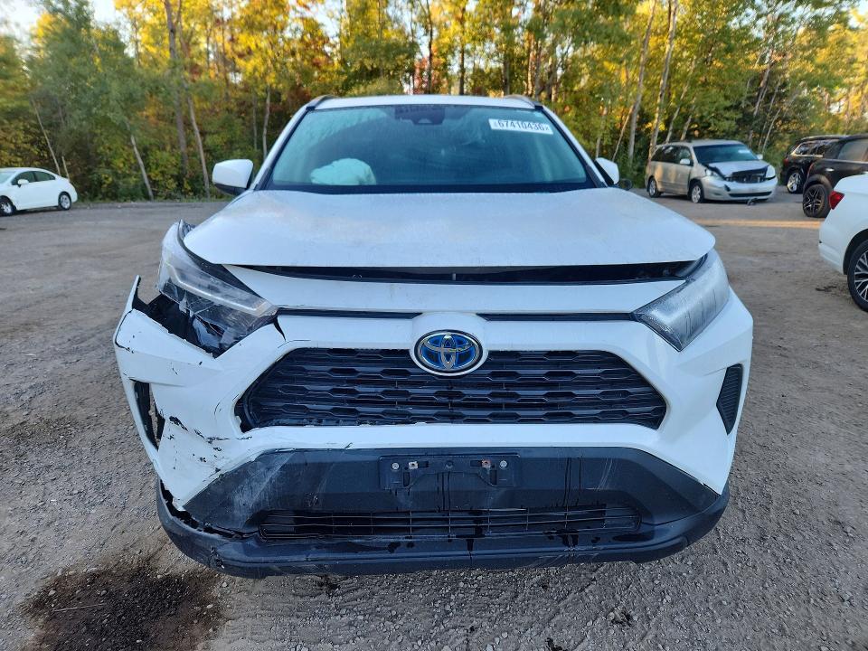 Продажа на аукционе авто 2022 Toyota Rav4, vin: 2T3RWRFVXNW134238, номер лота: 67410436