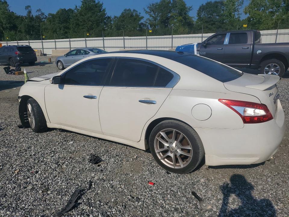 Продажа на аукционе авто 2009 Nissan Maxima, vin: 1N4AA51E09C820735, номер лота: 67902776