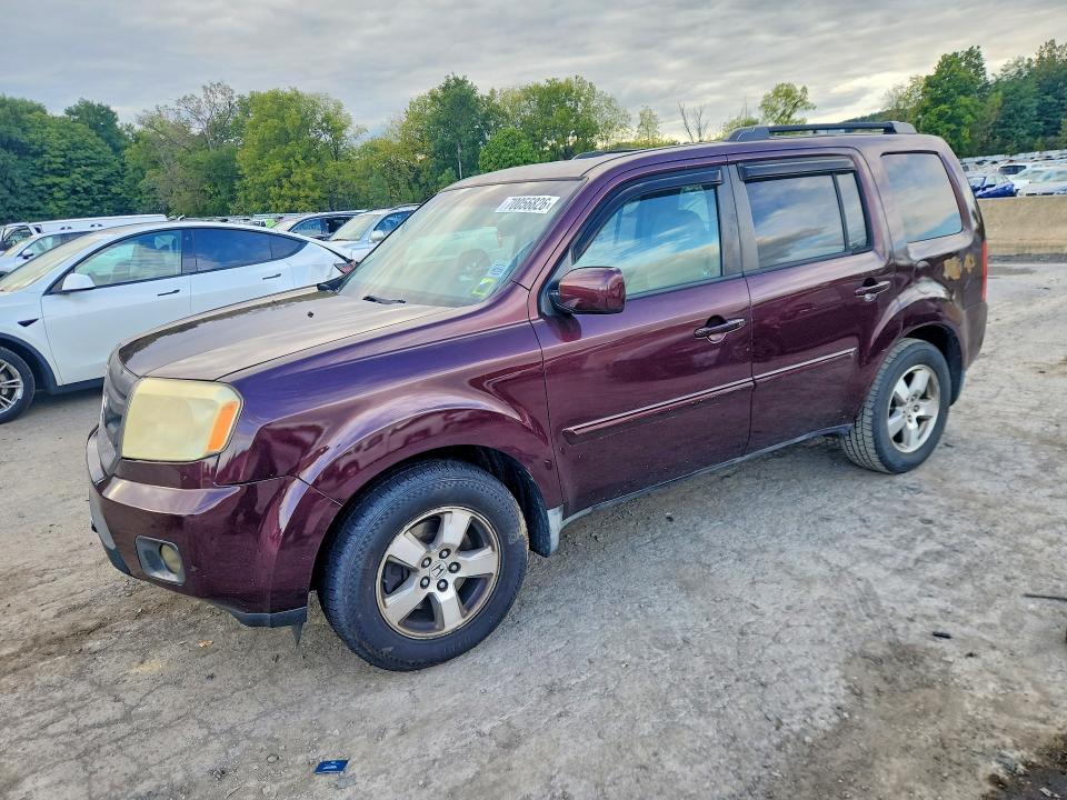 Auction sale of the 2009 Honda Pilot, vin: 5FNYF48539B007144, lot number: 70056826