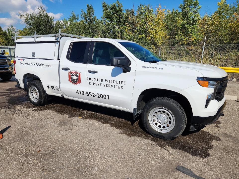 2022 Chevrolet Silverado მანქანა იყიდება აუქციონზე, vin: 1GCRDAEK9NZ509468, აუქციონის ნომერი: 70935336