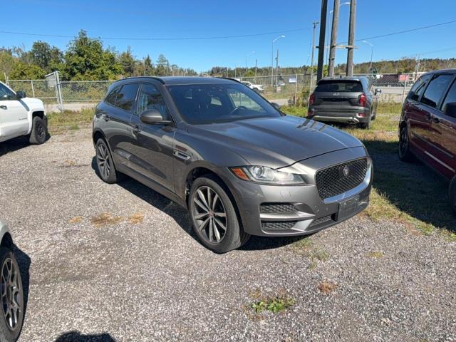 Продажа на аукционе авто 2019 Jaguar F-pace, vin: SADCK2FN4KA352120, номер лота: 70342186