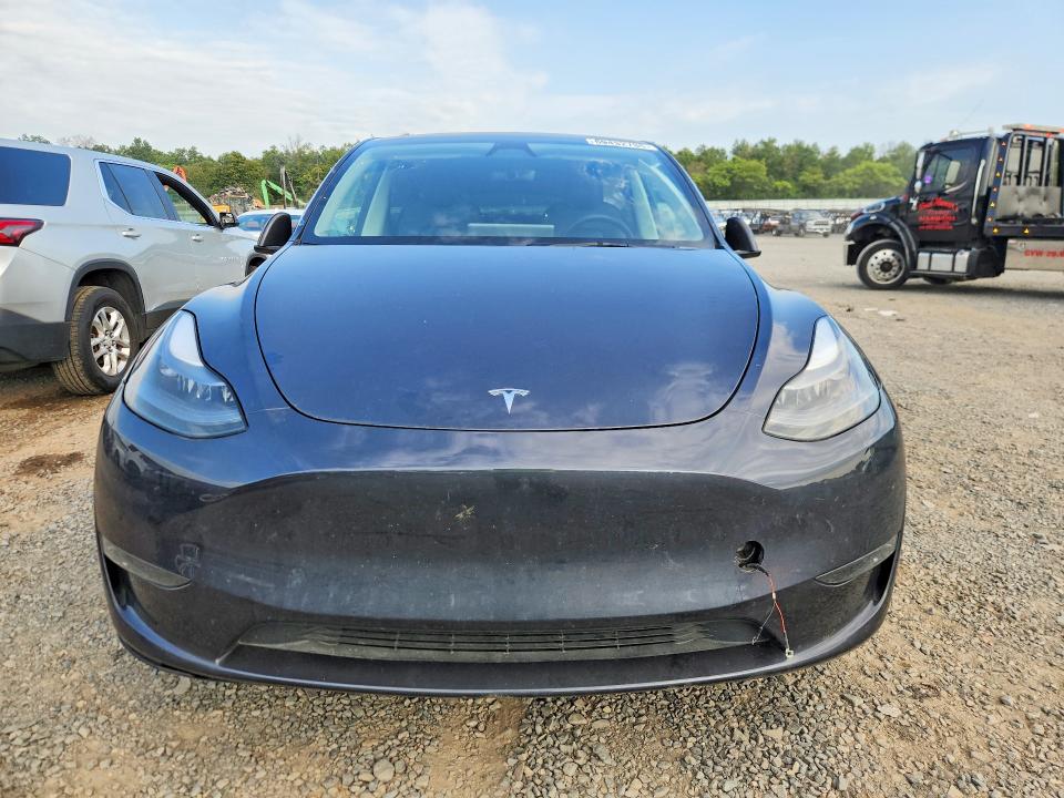 Aukcja sprzedaży 2024 Tesla Model Y, vin: 7SAYGDEE0RA261119, numer aukcji: 69432786