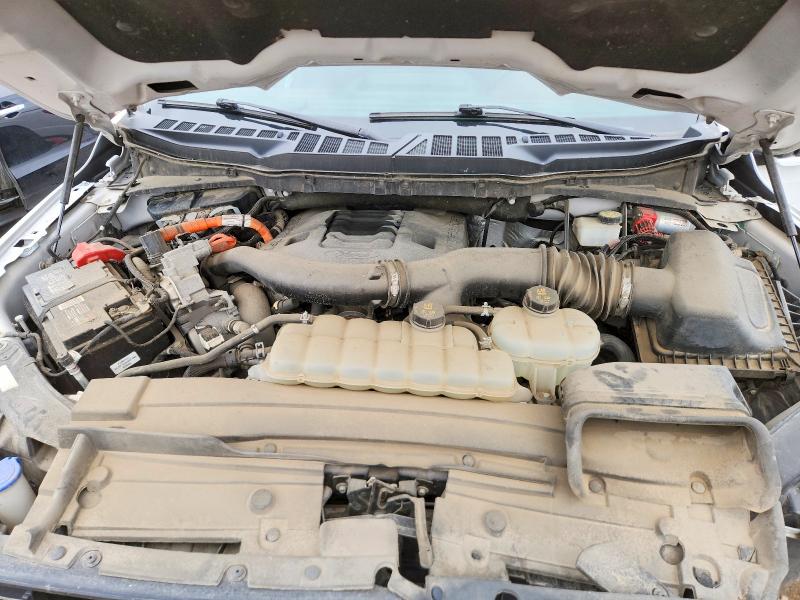 Auction sale of the 2021 Ford F-150, vin: 1FTFW1EDXMFC11297        , lot number: 69138206