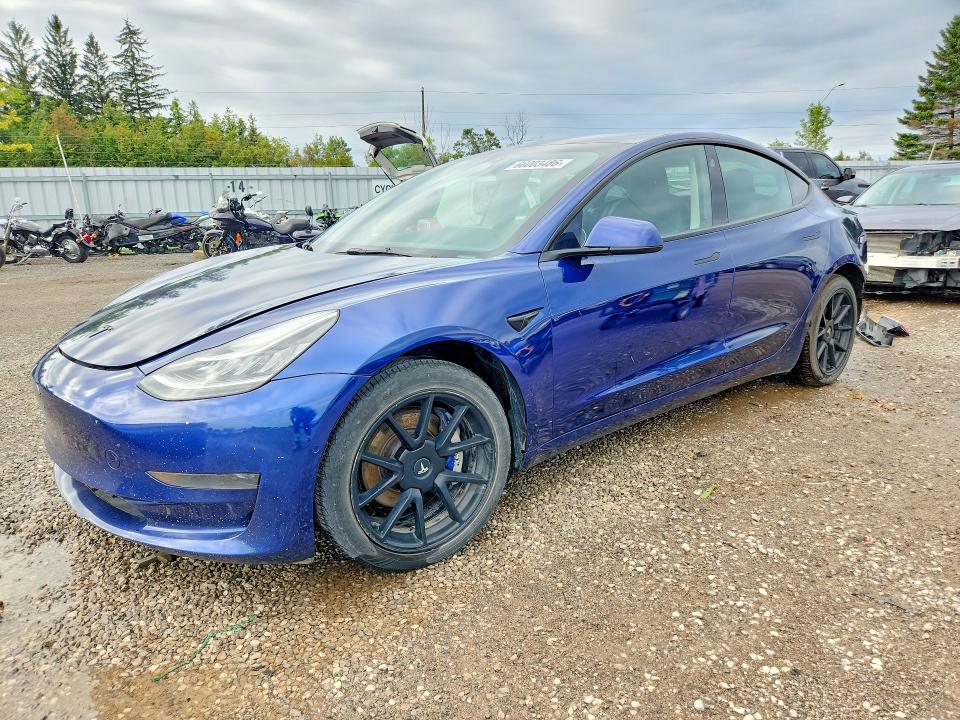 Auction sale of the 2022 Tesla Model 3, vin: 5YJ3E1EA7NF356394, lot number: 66003486