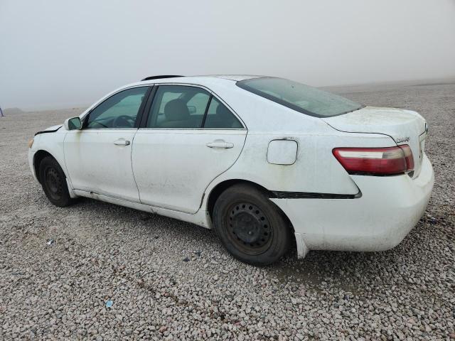 70025676 :رقم المزاد ، 4T1BE46K37U557560 vin ، 2007 Toyota Camry مزاد بيع