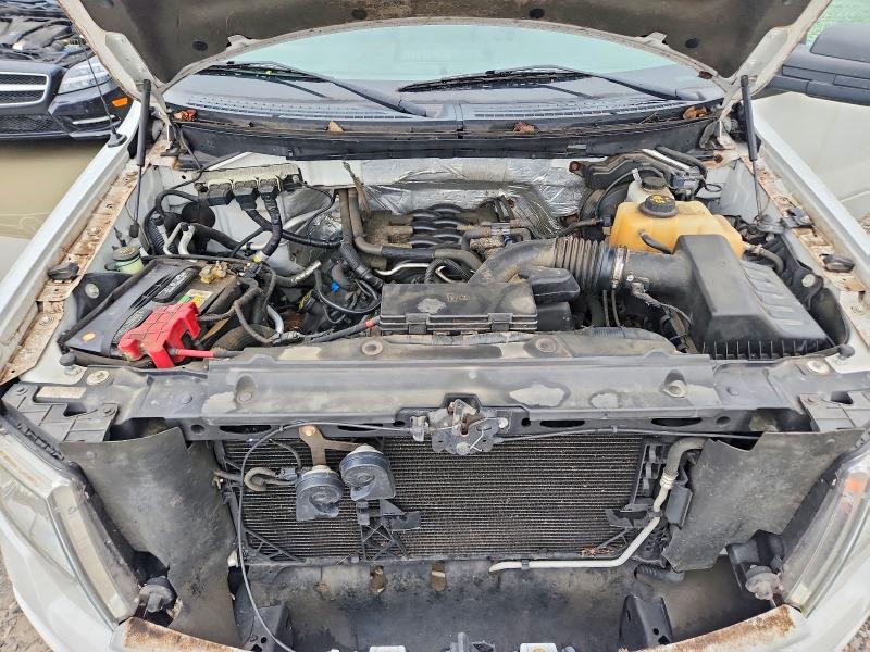 Продажа на аукционе авто 2011 Ford F150, vin: 1FTFX1EF7BFA58681, номер лота: 69541936