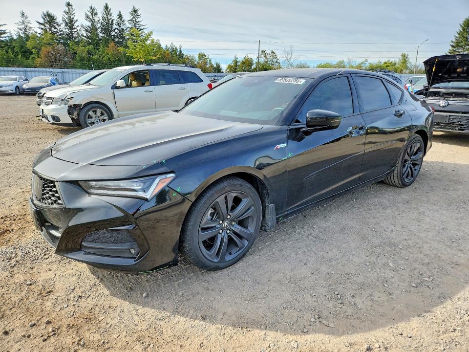 Aukcja sprzedaży 2023 Acura Tlx, vin: 19UUB6F52PA800337, numer aukcji: 69526256