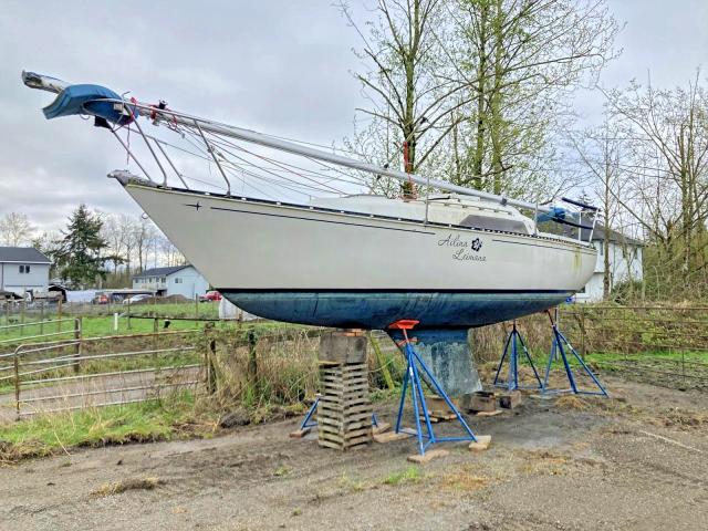 1984 Sail Boat Boat მანქანა იყიდება აუქციონზე, vin: ZCC25693M81L, აუქციონის ნომერი: 70794596