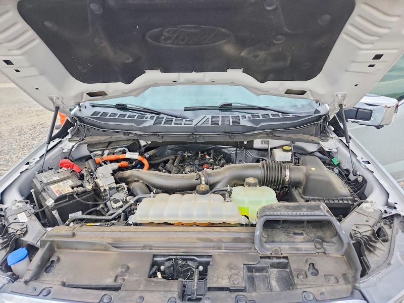Aukcja sprzedaży 2024 Ford F150, vin: 1FTFW5LD1RFA79533, numer aukcji: 70454146