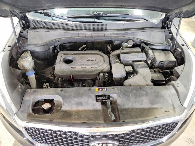70815456 :رقم المزاد ، 5XYPGDA31GG152206 vin ، 2016 Kia Sorento مزاد بيع
