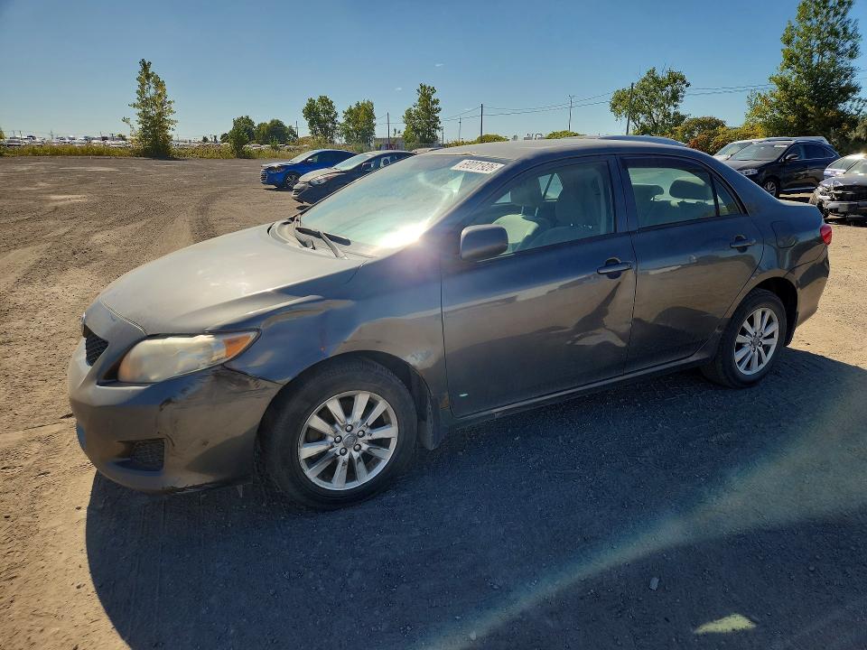 69001926 :رقم المزاد ، 2T1BU4EE8AC379166 vin ، 2010 Toyota Corolla مزاد بيع