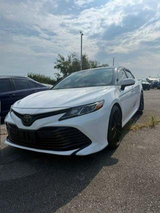 Auction sale of the 2019 Toyota Camry, vin: 4T1B11HK7KU815806, lot number: 69319406