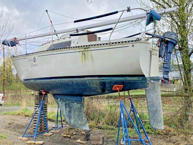 1984 Sail Boat Boat მანქანა იყიდება აუქციონზე, vin: ZCC25693M81L, აუქციონის ნომერი: 70794596