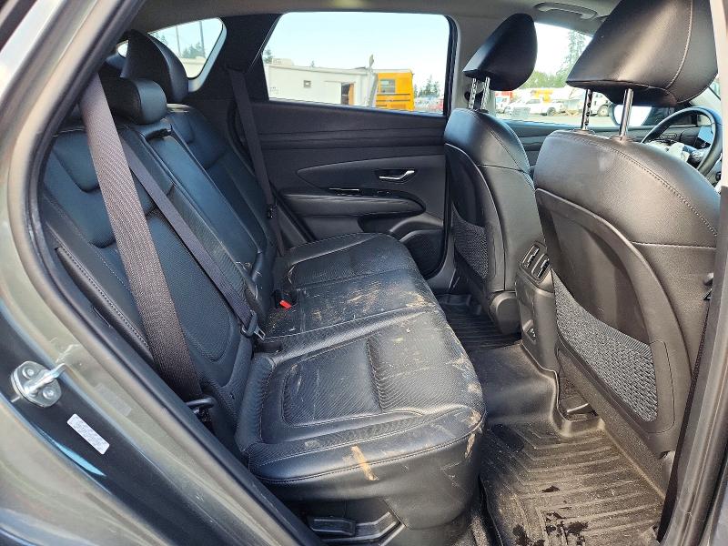 2025 Hyundai Tucson მანქანა იყიდება აუქციონზე, vin: KM8JEDD17SU253582, აუქციონის ნომერი: 69574896