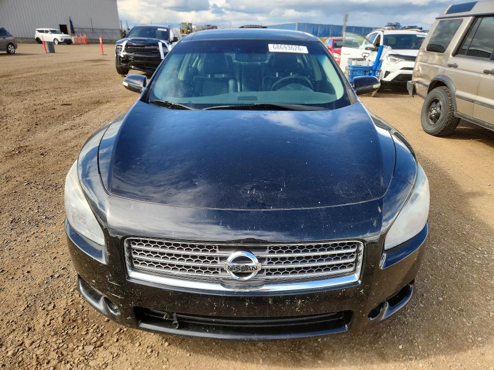 68693626 :رقم المزاد ، 1N4AA51E39C807378 vin ، 2009 Nissan Maxima مزاد بيع