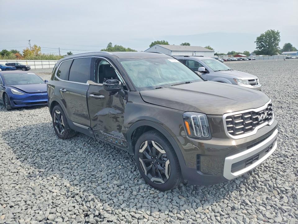 Продаж на аукціоні авто 2025 Kia Telluride, vin: 5XYP6DGC8SG625344, номер лоту: 67432496