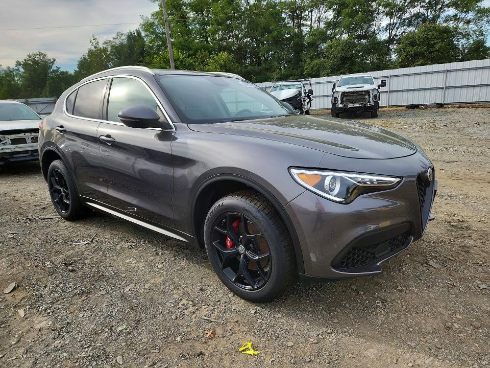 69217826 :رقم المزاد ، ZASPAKBN7K7C52653 vin ، 2019 Alfa Romeo Stelvio مزاد بيع