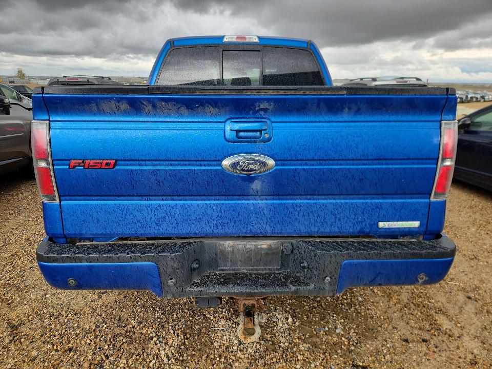 67499046 :رقم المزاد ، 1FTFW1ET3DFD42448 vin ، 2013 Ford F150 مزاد بيع