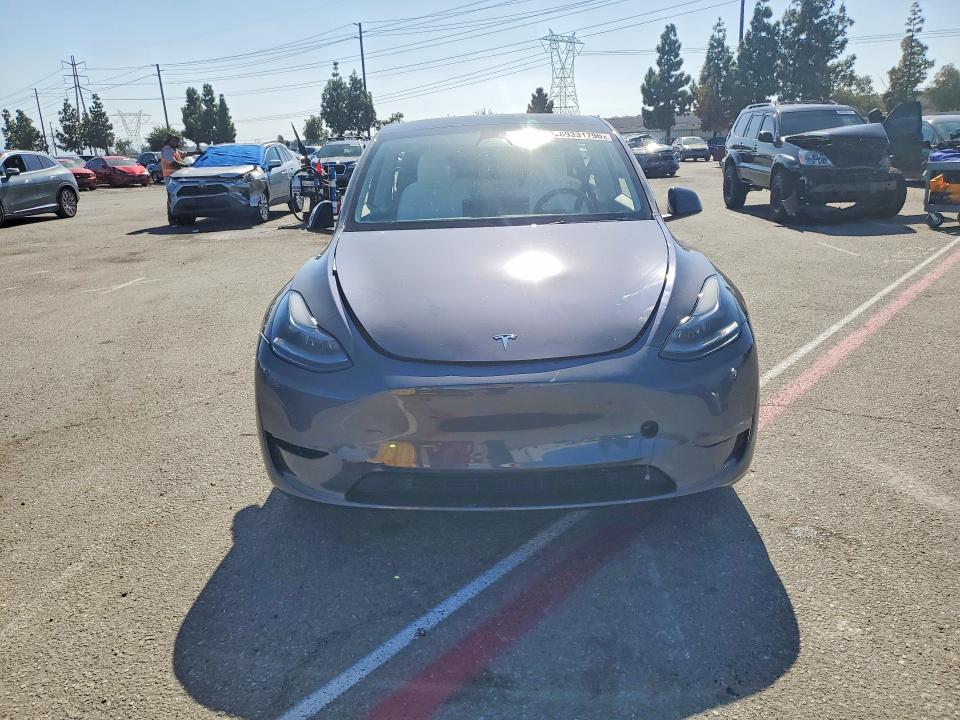 Продаж на аукціоні авто 2023 Tesla Model Y, vin: 7SAYGDEE0PF637835, номер лоту: 69331796