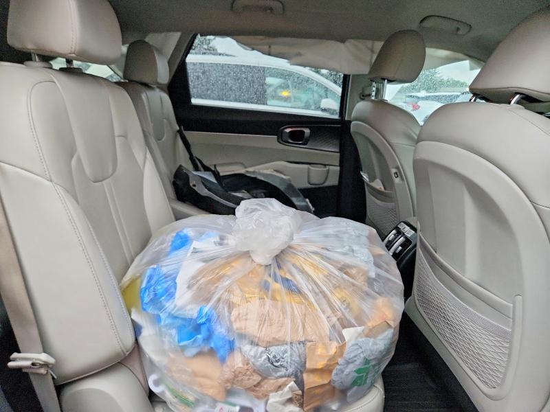 Aukcja sprzedaży 2023 Kia Sorento, vin: KNDRHDLG9P5185825, numer aukcji: 69513626