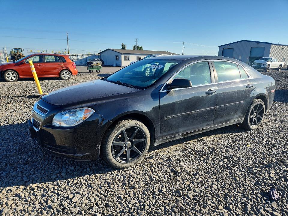 Продаж на аукціоні авто 2011 Chevrolet Malibu, vin: 1G1ZB5EU2BF239584, номер лоту: 69564586