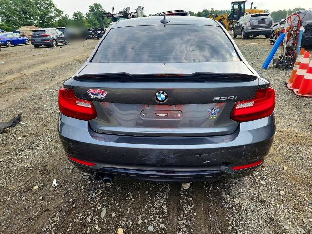 Aukcja sprzedaży 2017 Bmw 230xi, vin: WBA2H9C32HV642405, numer aukcji: 65326676