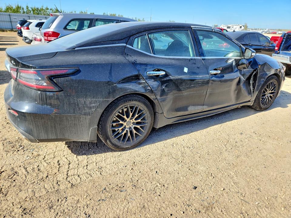 Продаж на аукціоні авто 2020 Nissan Maxima, vin: 1N4AA6DV2LC379957, номер лоту: 67027406