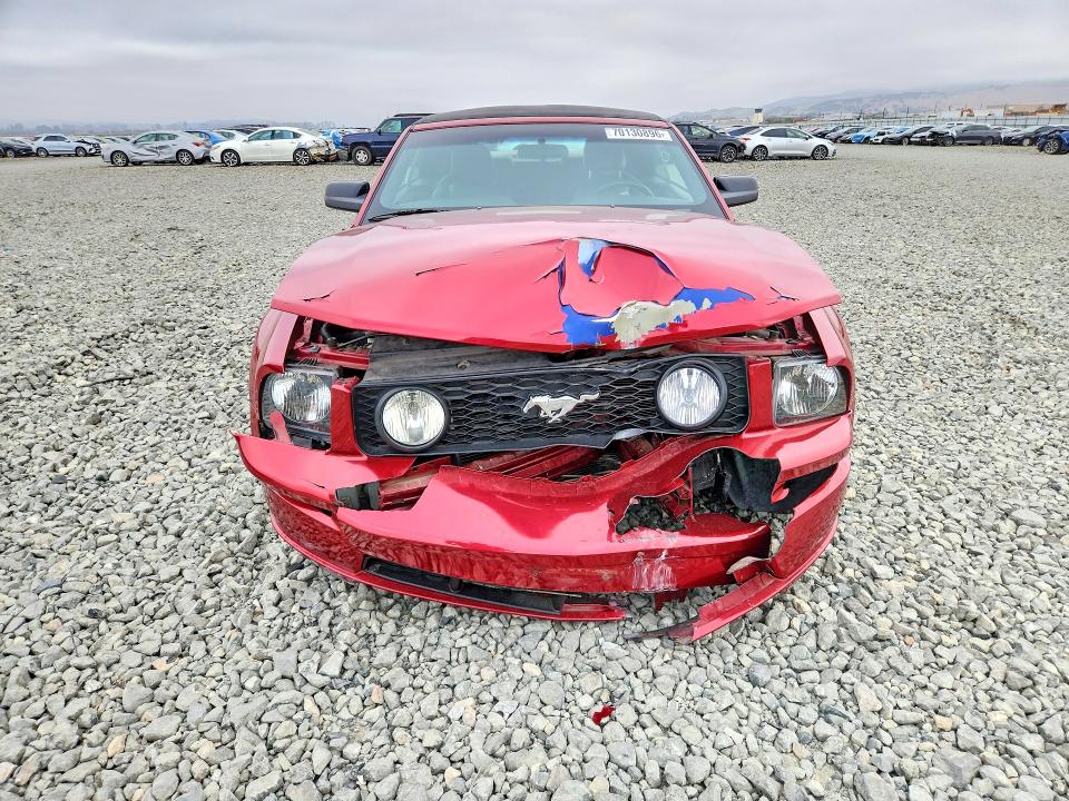 Продаж на аукціоні авто 2005 Ford Mustang, vin: 1ZVFT85H955236068, номер лоту: 70130896