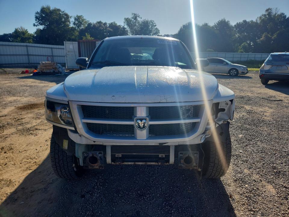 Продаж на аукціоні авто 2011 Dodge Dakota, vin: 1D7RW3GK4BS572037, номер лоту: 69072586