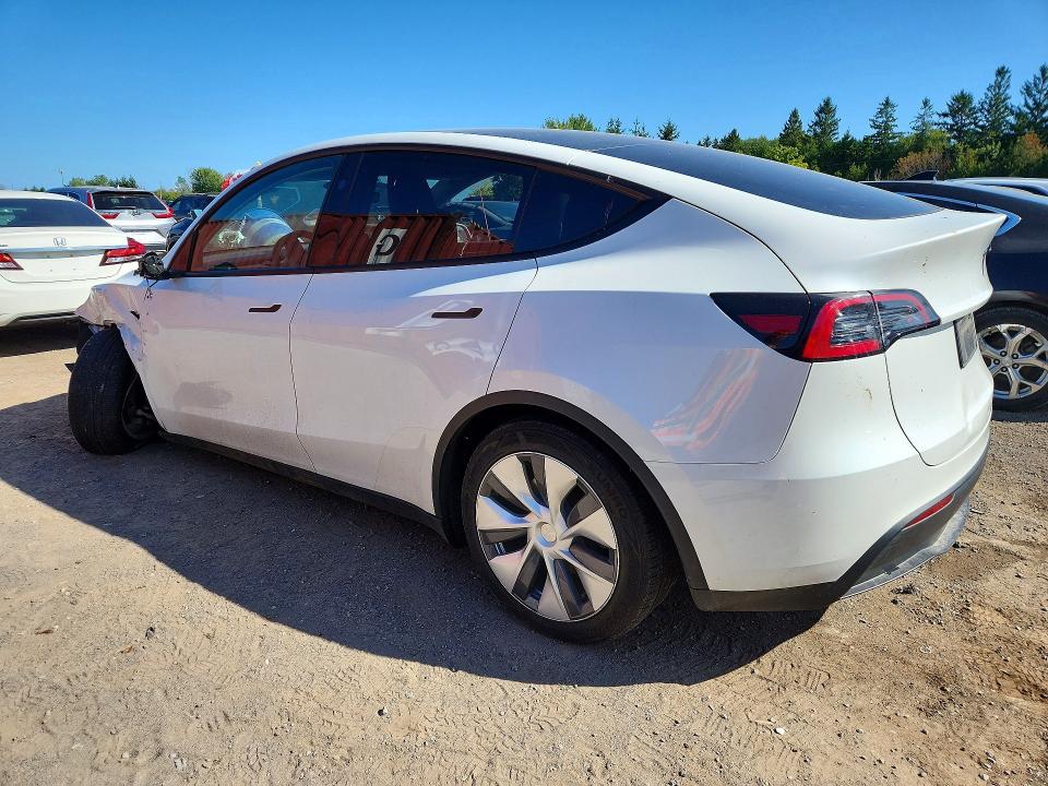 2024 Tesla Model Y მანქანა იყიდება აუქციონზე, vin: 7SAYGDEE8RF046185, აუქციონის ნომერი: 66717156