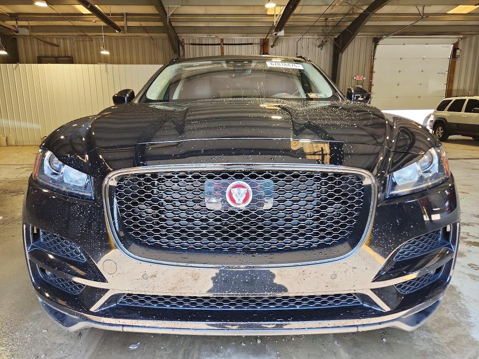Продаж на аукціоні авто 2019 Jaguar F-pace, vin: SADCJ2FX1KA395205, номер лоту: 67818476