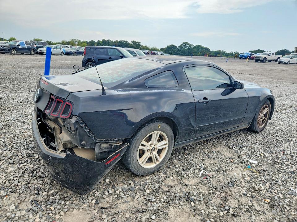 Продаж на аукціоні авто 2014 Ford Mustang, vin: 1ZVBP8AM0E5253377, номер лоту: 69434916