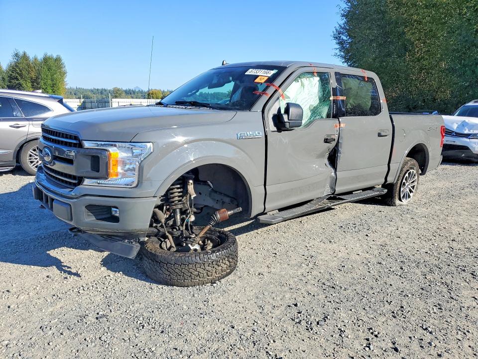 67331166 :رقم المزاد ، 1FTEW1EP3LFA19658 vin ، 2020 Ford F150 مزاد بيع
