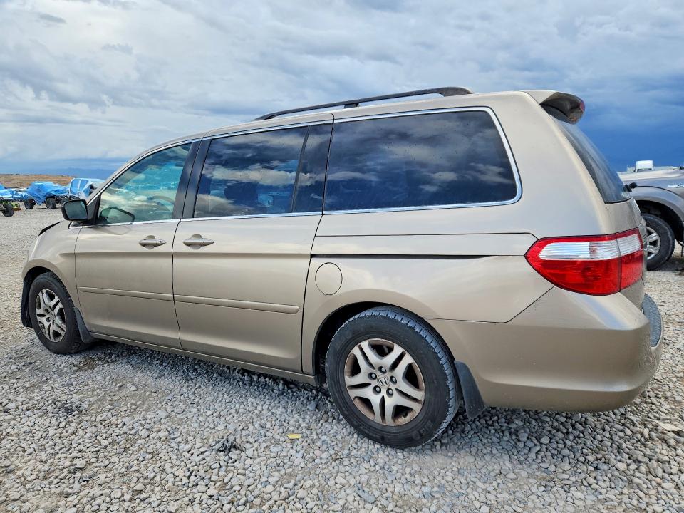 2005 Honda Odyssey მანქანა იყიდება აუქციონზე, vin: 5FNRL38765B132626, აუქციონის ნომერი: 69542956