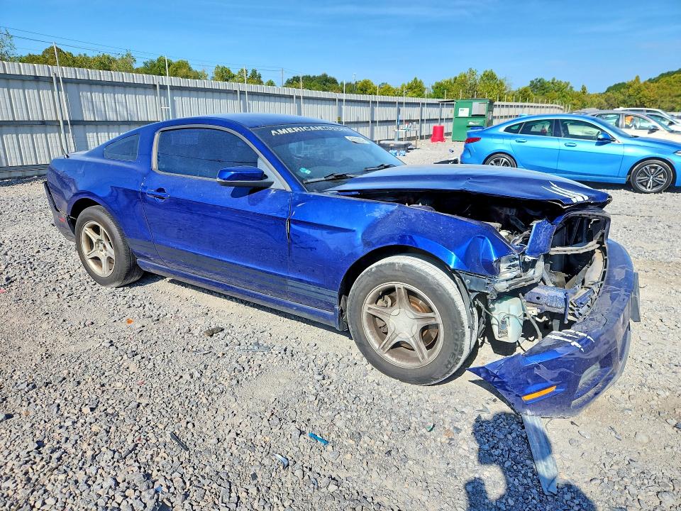 2013 Ford Mustang მანქანა იყიდება აუქციონზე, vin: 1ZVBP8AM7D5207334, აუქციონის ნომერი: 68302876