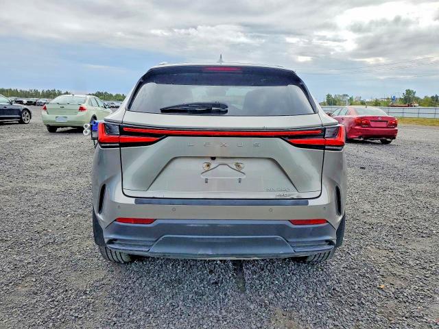 2022 Lexus Nx მანქანა იყიდება აუქციონზე, vin: 2T2GGCEZ7NC003294, აუქციონის ნომერი: 69427046