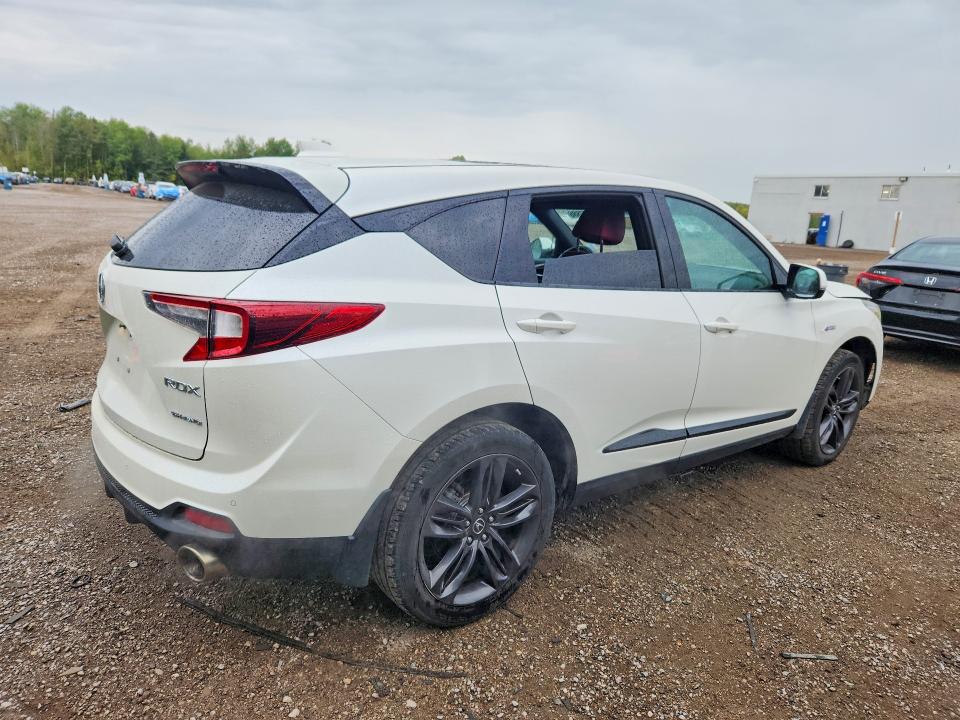 69022886 :رقم المزاد ، 5J8TC2H63KL808113 vin ، 2019 Acura Rdx مزاد بيع