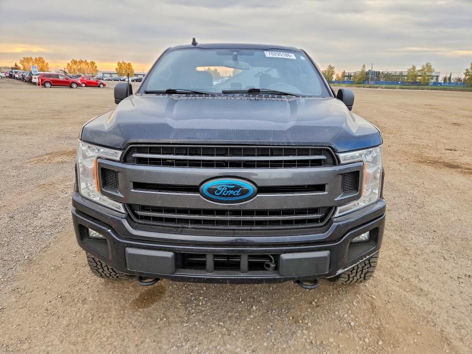 70295186 :رقم المزاد ، 1FTEW1E46KKE11061 vin ، 2019 Ford F150 مزاد بيع