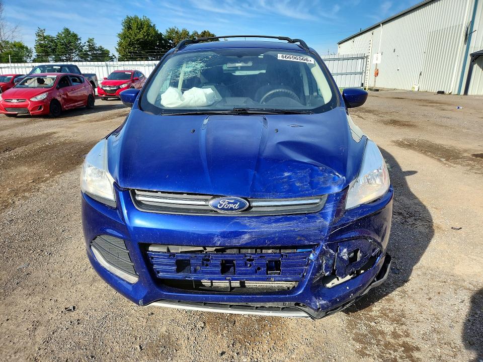Продаж на аукціоні авто 2013 Ford Escape, vin: 1FMCU0G99DUA76087, номер лоту: 66696566