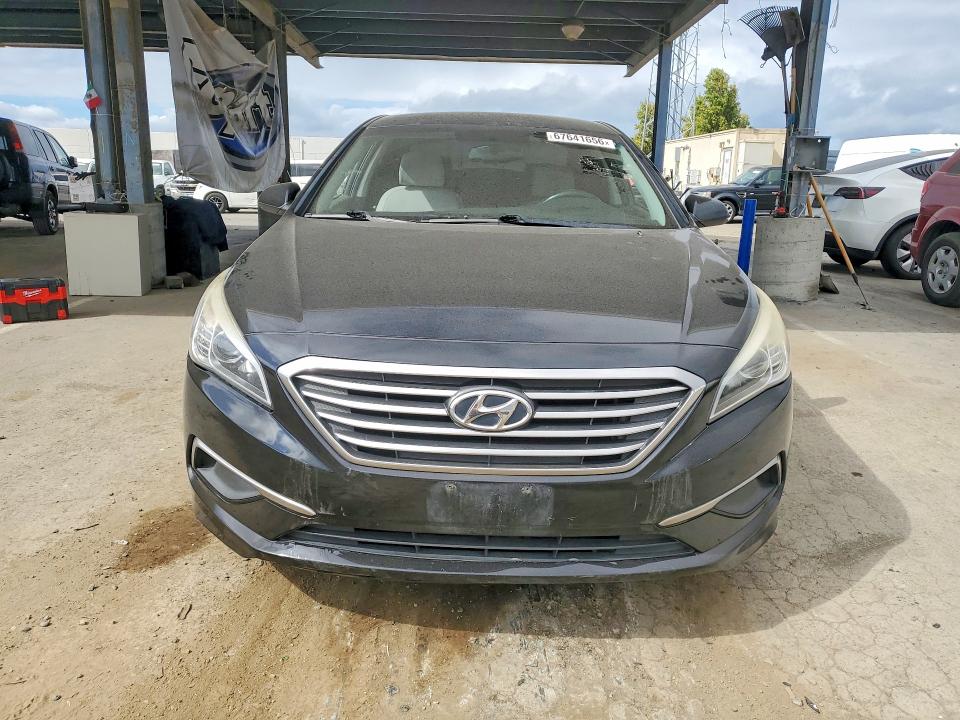 Продаж на аукціоні авто 2016 Hyundai Sonata, vin: 5NPE24AF3GH372990, номер лоту: 67641656