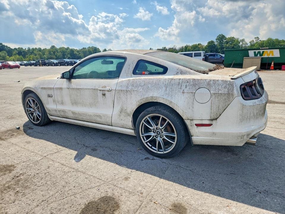 Продаж на аукціоні авто 2013 Ford Mustang, vin: 1ZVBP8CF4D5270485, номер лоту: 68540376