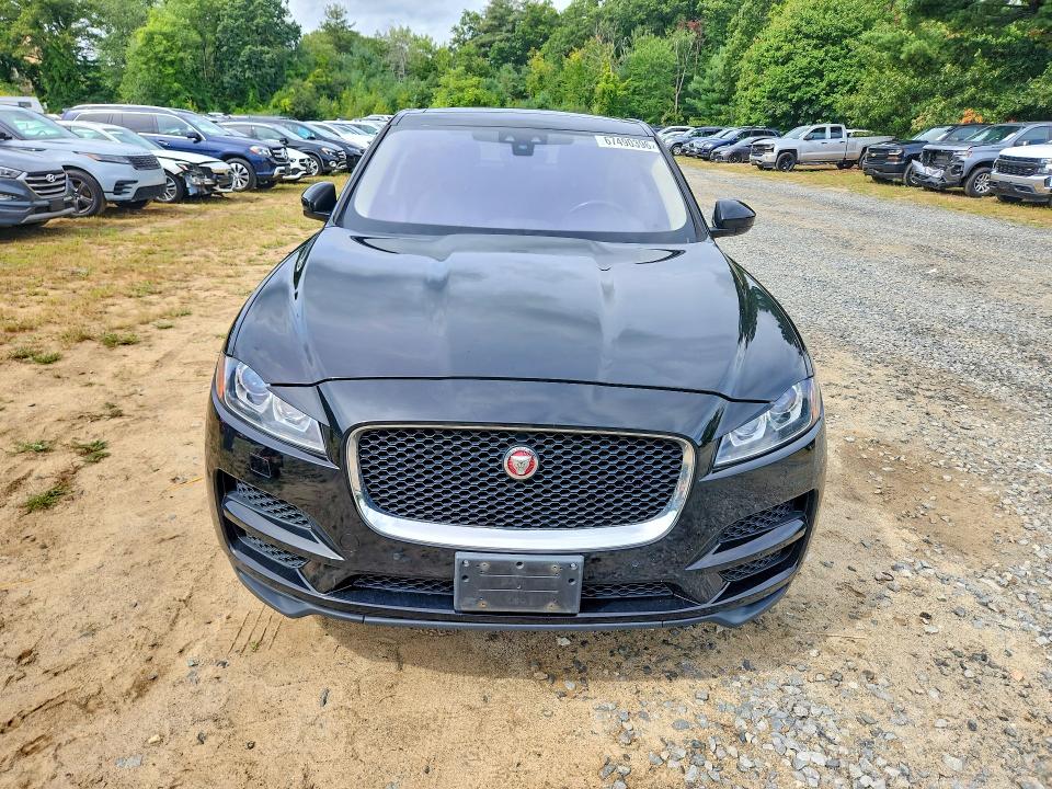 Продаж на аукціоні авто 2020 Jaguar F-pace, vin: SADCK2GX4LA632797, номер лоту: 67490396