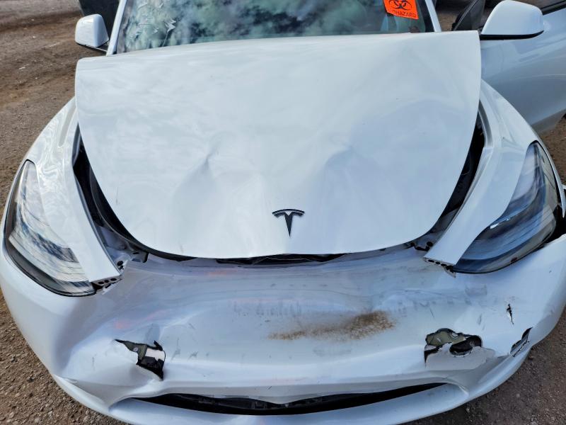 Aukcja sprzedaży 2023 Tesla Model Y, vin: 7SAYGDEF5PF601521, numer aukcji: 69896006