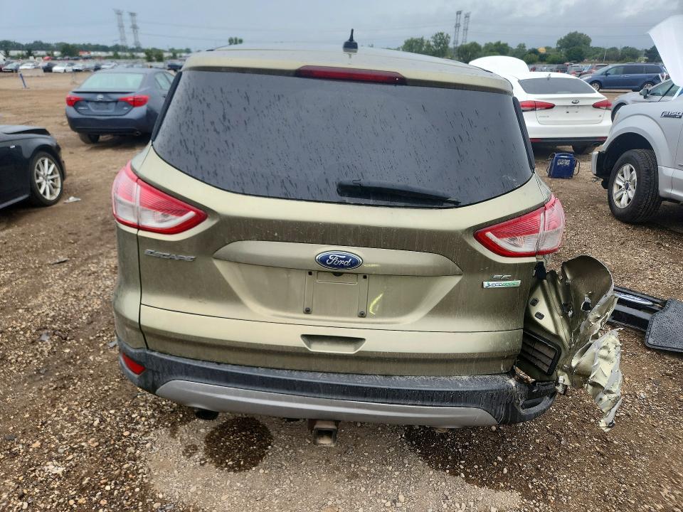 67905106 :رقم المزاد ، 1FMCU0GXXEUB24342 vin ، 2014 Ford Escape مزاد بيع