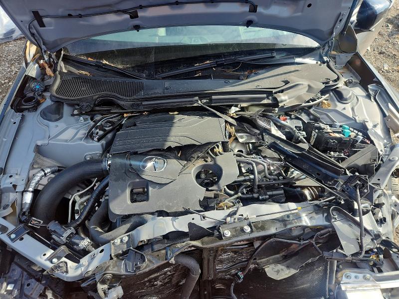 Продаж на аукціоні авто 2025 Acura Tlx, vin: 19UUB7F04SA000979, номер лоту: 67171466