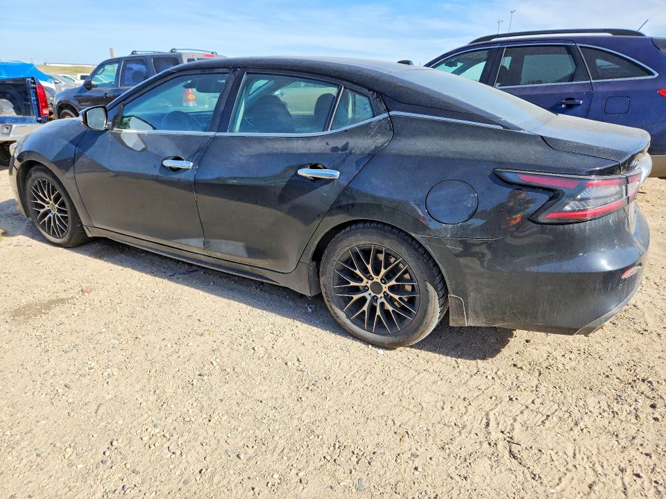 Продаж на аукціоні авто 2020 Nissan Maxima, vin: 1N4AA6DV2LC379957, номер лоту: 67027406