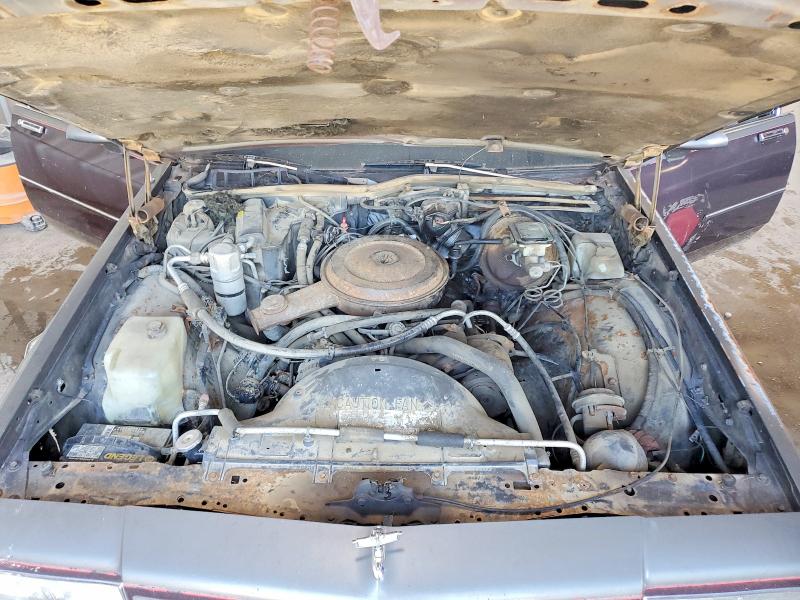 Продажа на аукционе авто 1988 Chevrolet Caprice, vin: 1G1BL51H6JA101209, номер лота: 67263006