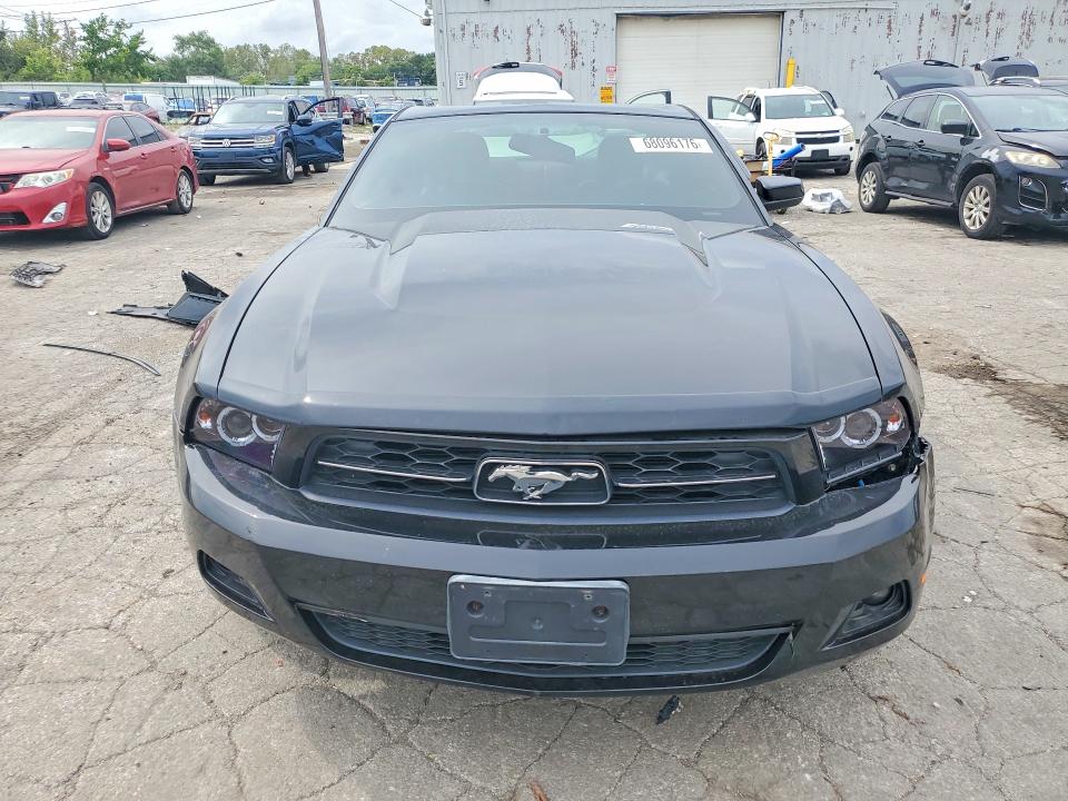 Продаж на аукціоні авто 2010 Ford Mustang, vin: 1ZVBP8AN5A5179974, номер лоту: 68096176