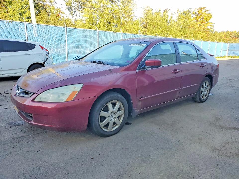 Auction sale of the 2005 Honda Accord, vin: 1HGCM66535A802441, lot number: 70510466
